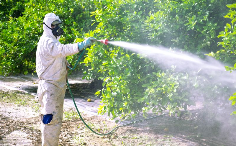 Pest Fumigation Service in West Palm Beach, FL