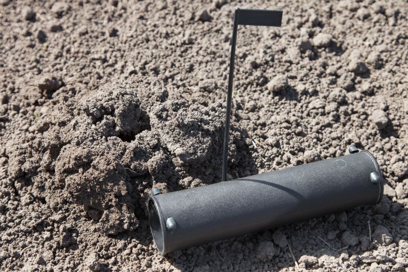 Mole Traps in Action