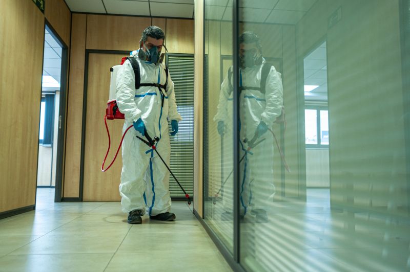 Spider Fumigation Service in Bellingham, WA